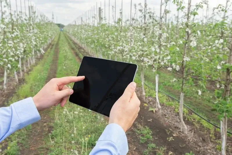 Assistance Technique en Gestion