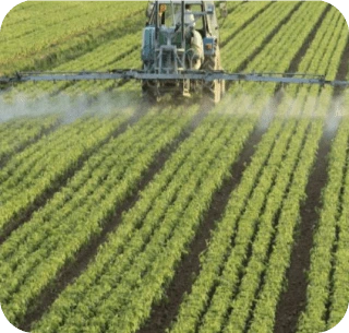 Commerce international