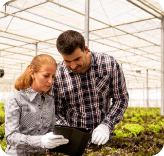 Nos experts en agriculture identifient les axes d’amélioration dans vos pratiques pour maximiser vos rendements.