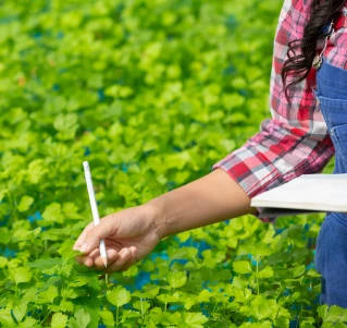 Études de projet détaillées