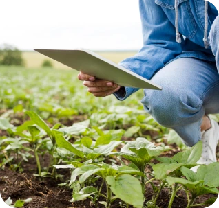 Prenez des décisions éclairées basées sur des études techniques et économiques rigoureuses.