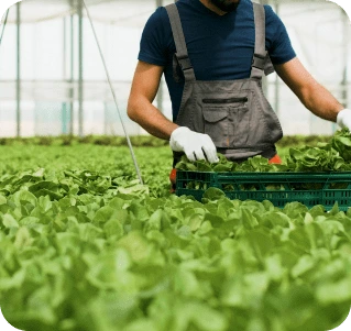 Exploitation agricole durable